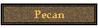 Pecan