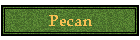 Pecan