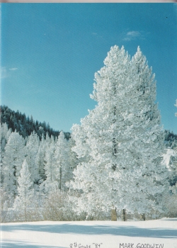 Alvord1976-003.jpg (815216 bytes)