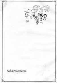 BHS29-048.jpg (219467 bytes)