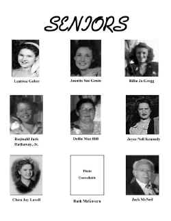 BHS46-010.jpg (65251 bytes)