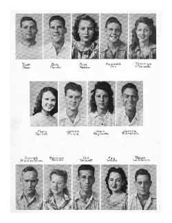 BHS46-018.jpg (260530 bytes)