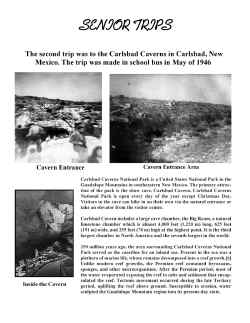 BHS46-028.jpg (407813 bytes)