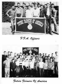 BHS51-030.jpg (329202 bytes)