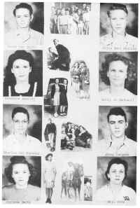 CHS1946-20.jpg (1021085 bytes)