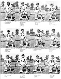 CHS1976-044.jpg (1015108 bytes)