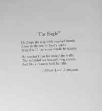 DHS-1927-pg08.jpg (733114 bytes)