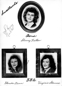 Boyd1966-050.jpg (706060 bytes)