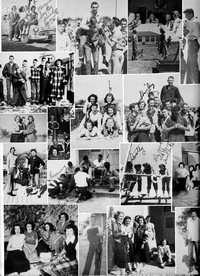 Boyd1966-038.jpg (709727 bytes)