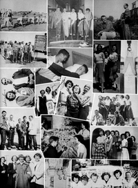 Boyd1966-033.jpg (705511 bytes)