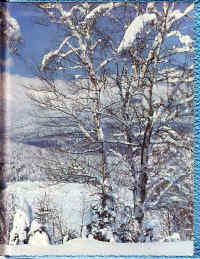 PHS1964-79.jpg (2358546 bytes)